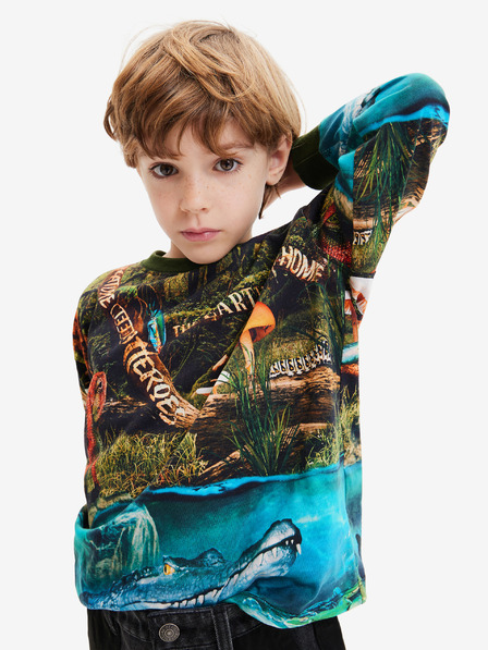 Desigual Blaues und grünes Desigual Newman Sweatshirt für Jungen