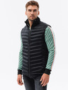 Ombre Clothing Weste