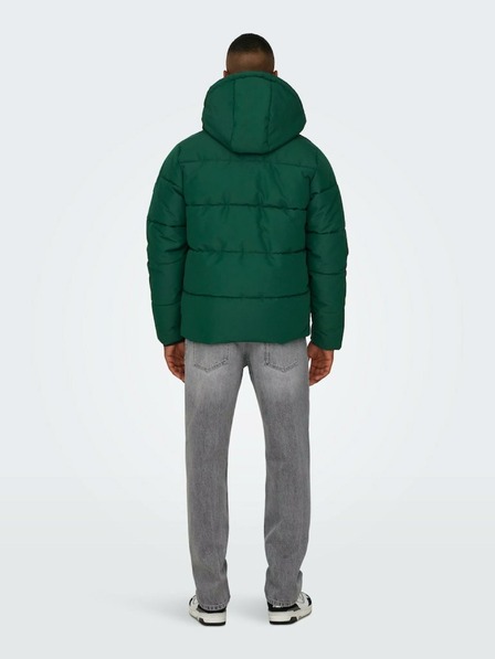 ONLY & SONS Dunkelgrüne Herren-Steppwinterjacke ONLY & SONS Carl