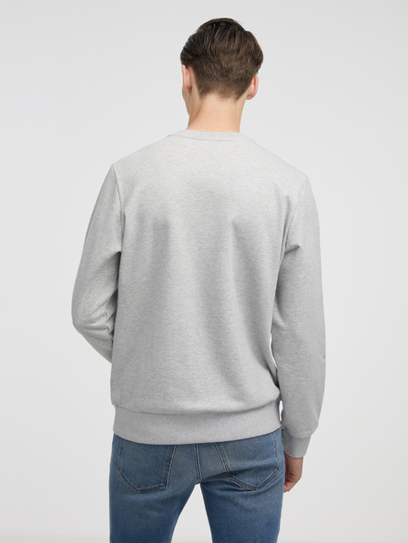 Diesel Diesel Herren Kapuzenpullover grau