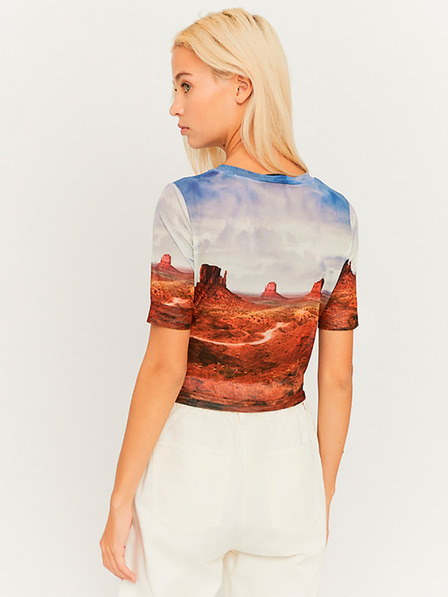 TALLY WEiJL Blaues und braunes durchsichtiges Crop-Top TALLY WEiJL