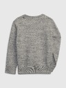 GAP Brannan Kinderpullover