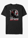 ZOOT.Fan Ant-Man und The Wasp ZOOT. FAN Marvel - Herren-T-Shirt