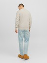 Jack & Jones Jack & Jones Vester Herren Sweatshirt Beige