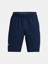 Under Armour Herren Under Armour UA Vanish Woven 8in Shorts