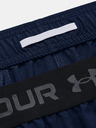 Under Armour Herren Under Armour UA Vanish Woven 8in Shorts