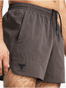 Under Armour Herren-Shorts Under Armour Pjt Rck Camp Short