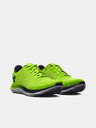Under Armour Herren Schuhe Under Armour UA FLOW Velociti Wind 2