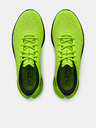 Under Armour Herren Schuhe Under Armour UA FLOW Velociti Wind 2