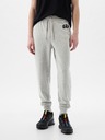 GAP Herren Sweatpants mit Fleece und Logo GAP