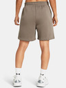 Under Armour Damen-Shorts Under Armour UA Essl Flc Relax BF Short