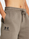 Under Armour Damen-Shorts Under Armour UA Essl Flc Relax BF Short
