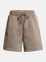 Under Armour Damen-Shorts Under Armour UA Essl Flc Relax BF Short