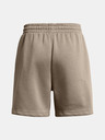 Under Armour Damen-Shorts Under Armour UA Essl Flc Relax BF Short