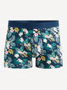Celio Gibotropik Boxershorts