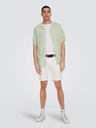 ONLY & SONS Weiß-grün gestreiftes Kurzarmhemd für Herren ONLY & SONS Wayne