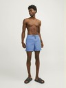 Jack & Jones Blaue Jack & Jones Fidschi Herren Bademode
