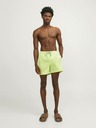 Jack & Jones Grün Herren Bademode Jack & Jones Fiji