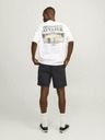 Jack & Jones Schwarze Herren-Chinoshorts mit Leinen Jack & Jones Ace