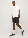 Jack & Jones Schwarze Herren-Chinoshorts mit Leinen Jack & Jones Ace