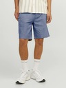Jack & Jones Hellblaue Herren-Chino-Shorts mit Leinen Jack & Jones Ace