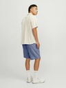 Jack & Jones Hellblaue Herren-Chino-Shorts mit Leinen Jack & Jones Ace