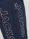 Jack & Jones Jack & Jones Fiji Dunkelblau Herren Bademode