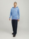 Jack & Jones Blaues Jack & Jones Forest Herren-Kapuzen-Sweatshirt mit Reißverschluss