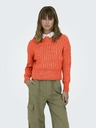 ONLY Orangefarbener ONLY Agnes-Pullover für Frauen
