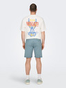 ONLY & SONS Hellblaue ONLY & SONS Peter-Hosen für Herren