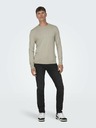 ONLY & SONS Beige Herren ONLY & SONS Wyler Life Pullover