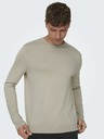 ONLY & SONS Beige Herren ONLY & SONS Wyler Life Pullover