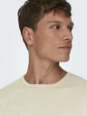 ONLY & SONS Beige Herren ONLY & SONS Wyler Life Pullover