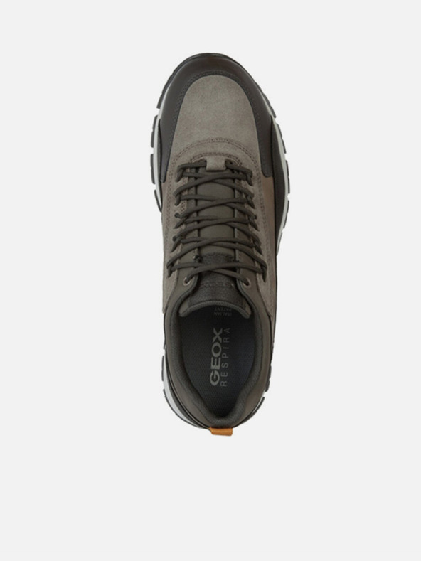 Geox Dunkelbraun Herren Geox Doray Turnschuhe b abx