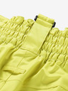 ALPINE PRO Hellgrüne Herrenskihose mit Membrane PTX ALPINE PRO Osag