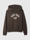 GAP Vintage Soft Sweatshirt GAP