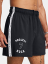 Under Armour Herren Under Armour Pjt Rck Mesh Short BOH