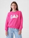 GAP Kinder Sweatshirt Brannan GAP