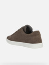 Geox Grau Herren Geox Avola Turnschuhe