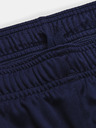Under Armour Herren-Shorts Under Armour Challenger Knit Short