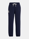 Under Armour Under Armour UA Icon HWT Terry OS Hose für Frauen