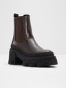 Aldo Talanariel Ankle Boots