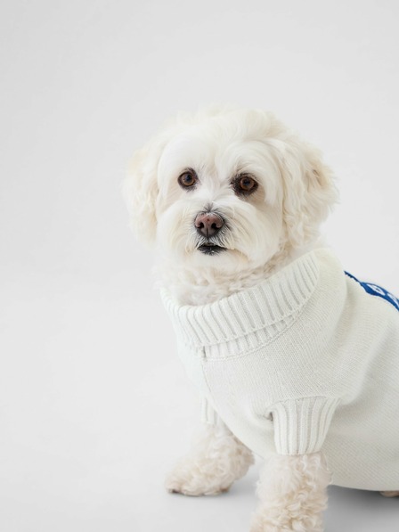 GAP Hundepullover mit Logo GAP