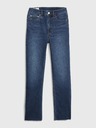 GAP Jeans cigarette high rise GAP