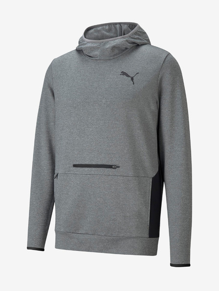 Puma Grau Herren Puma RTG Hoodie
