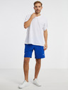 Under Armour Herren Shorts Under Armour UA Pjt Rck Snap Shorts