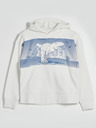 GAP Kinder-Sweatshirt mit Dinosaurier GAP