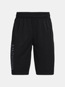 Under Armour Boys' Shorts Under Armour Prototype 2.0 Wdmk Shorts