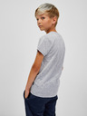 Sam 73 Hellgraues gestreiftes T-Shirt für Jungen SAM 73 Janson