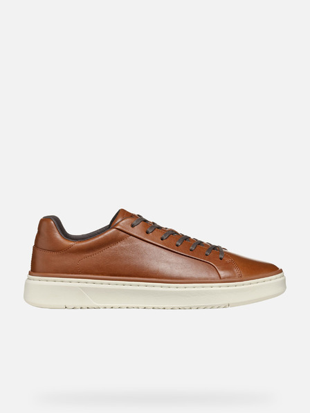 Geox Braun Herren Geox Zackerty Turnschuhe